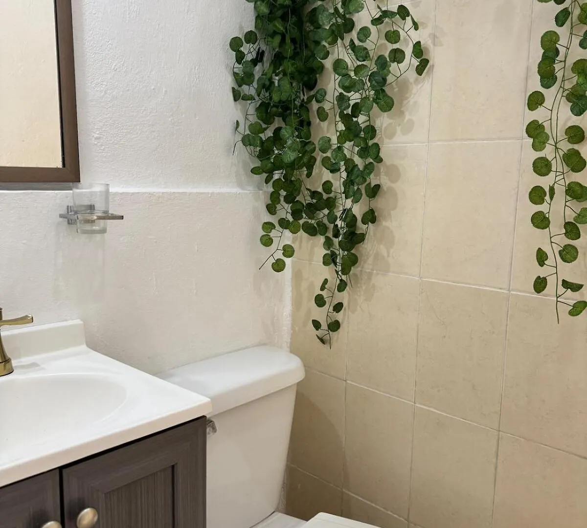 Apartment Starlink Rainbowstair Studio Isla Mujeres