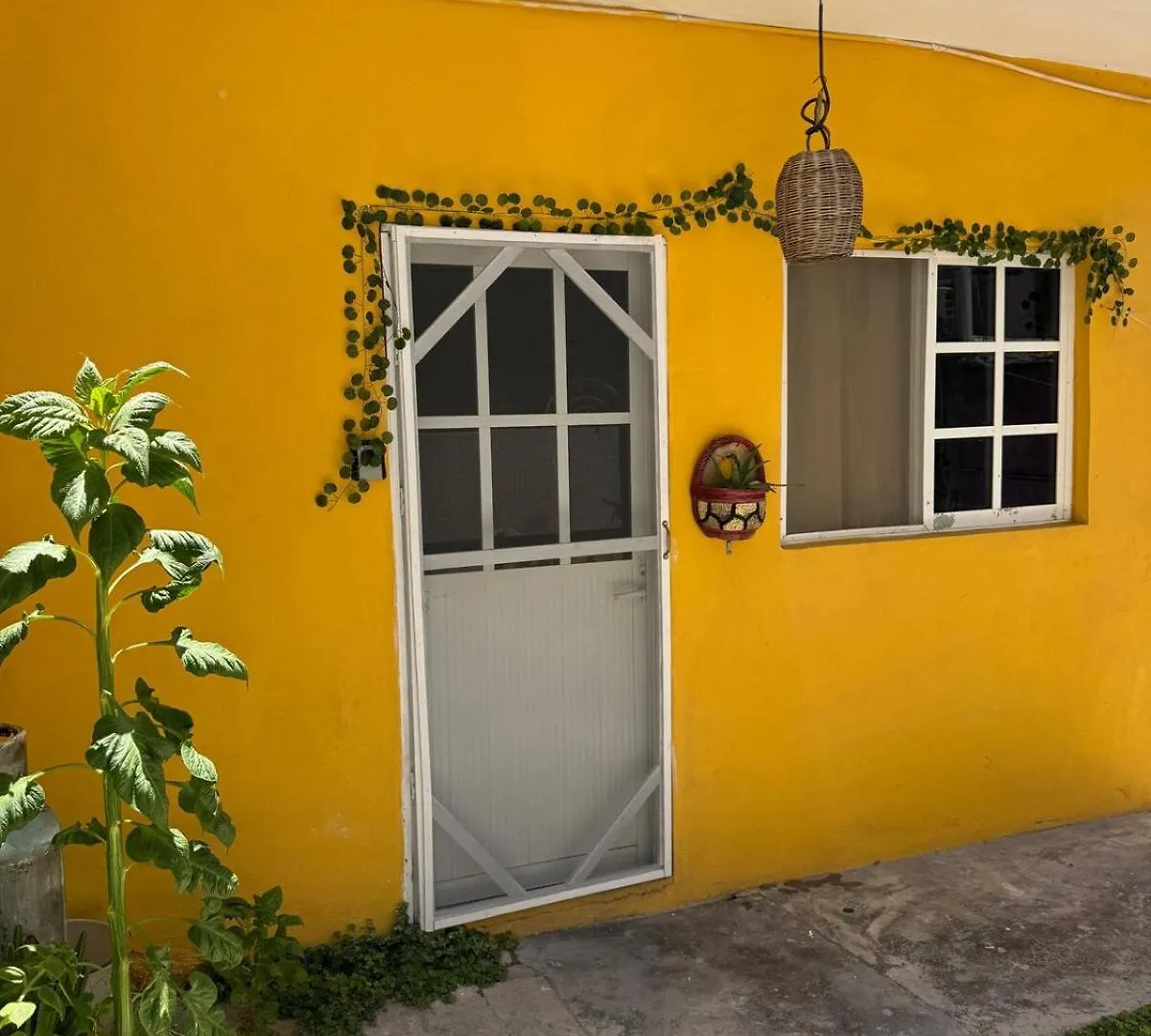 Apartment Starlink Rainbowstair Studio Isla Mujeres