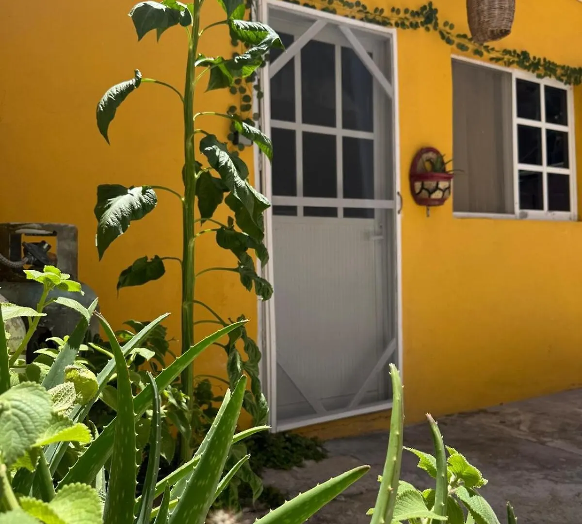 Apartment Starlink Rainbowstair Studio Isla Mujeres
