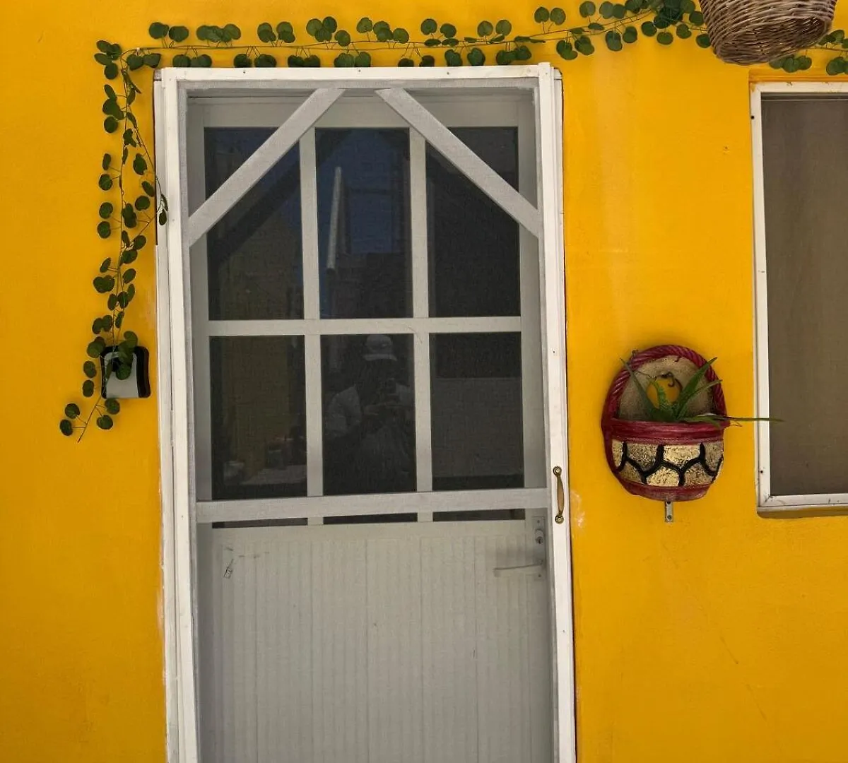 Starlink Rainbowstair Studio Isla Mujeres Mexico